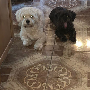 Meet your Posher, Dember